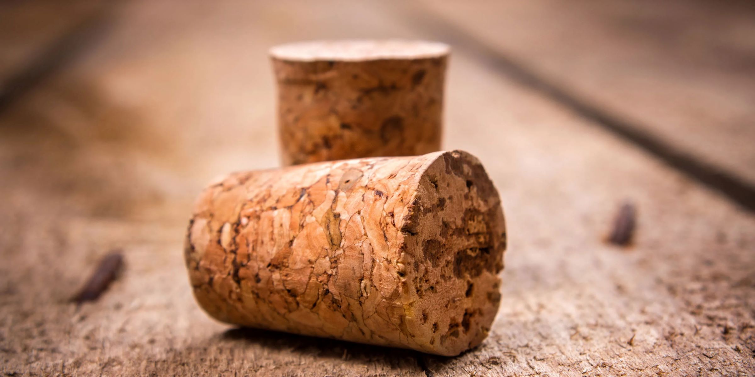 Cork Fact File: All You Need To Know