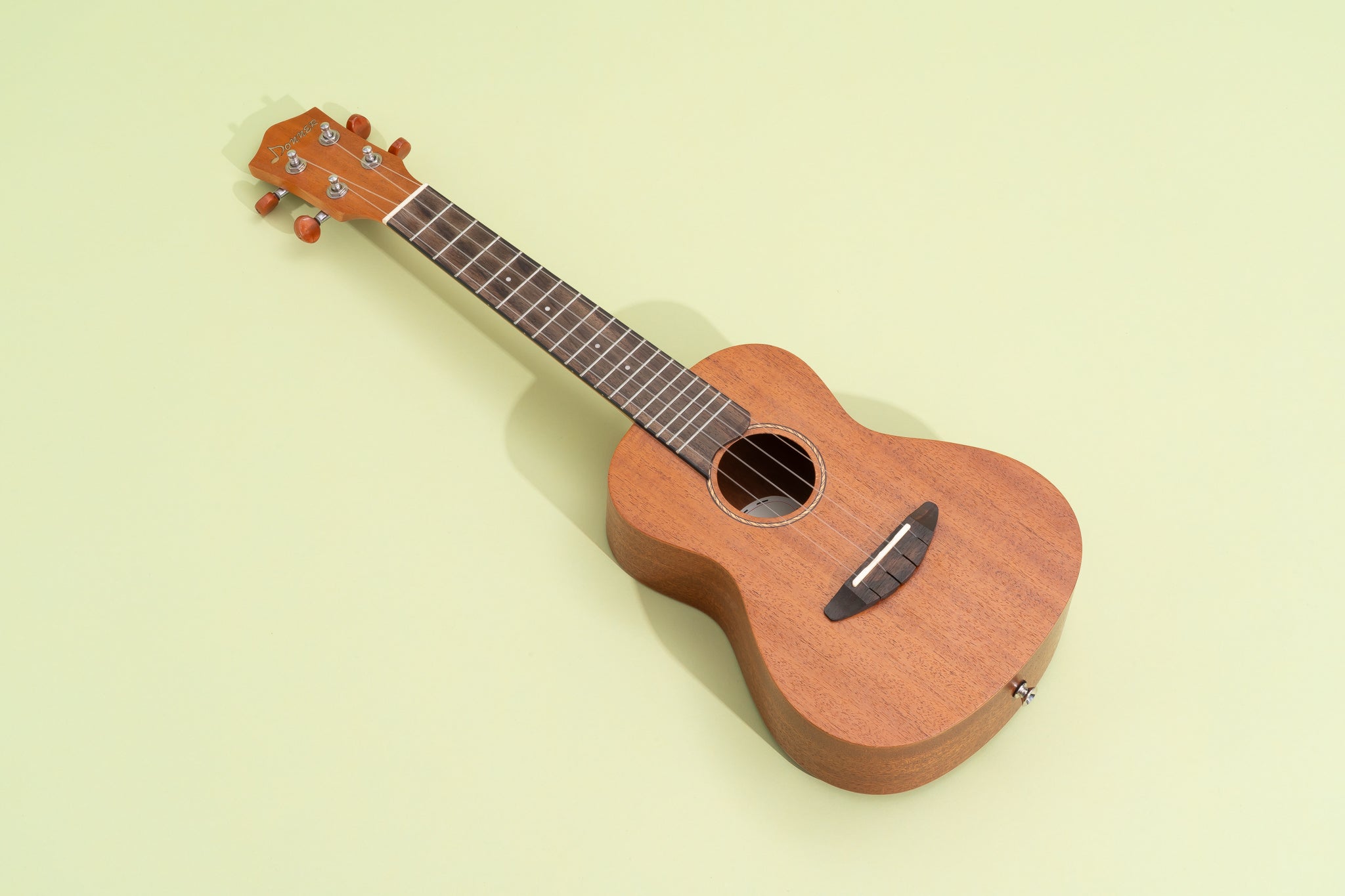15-facts-about-the-ukulele