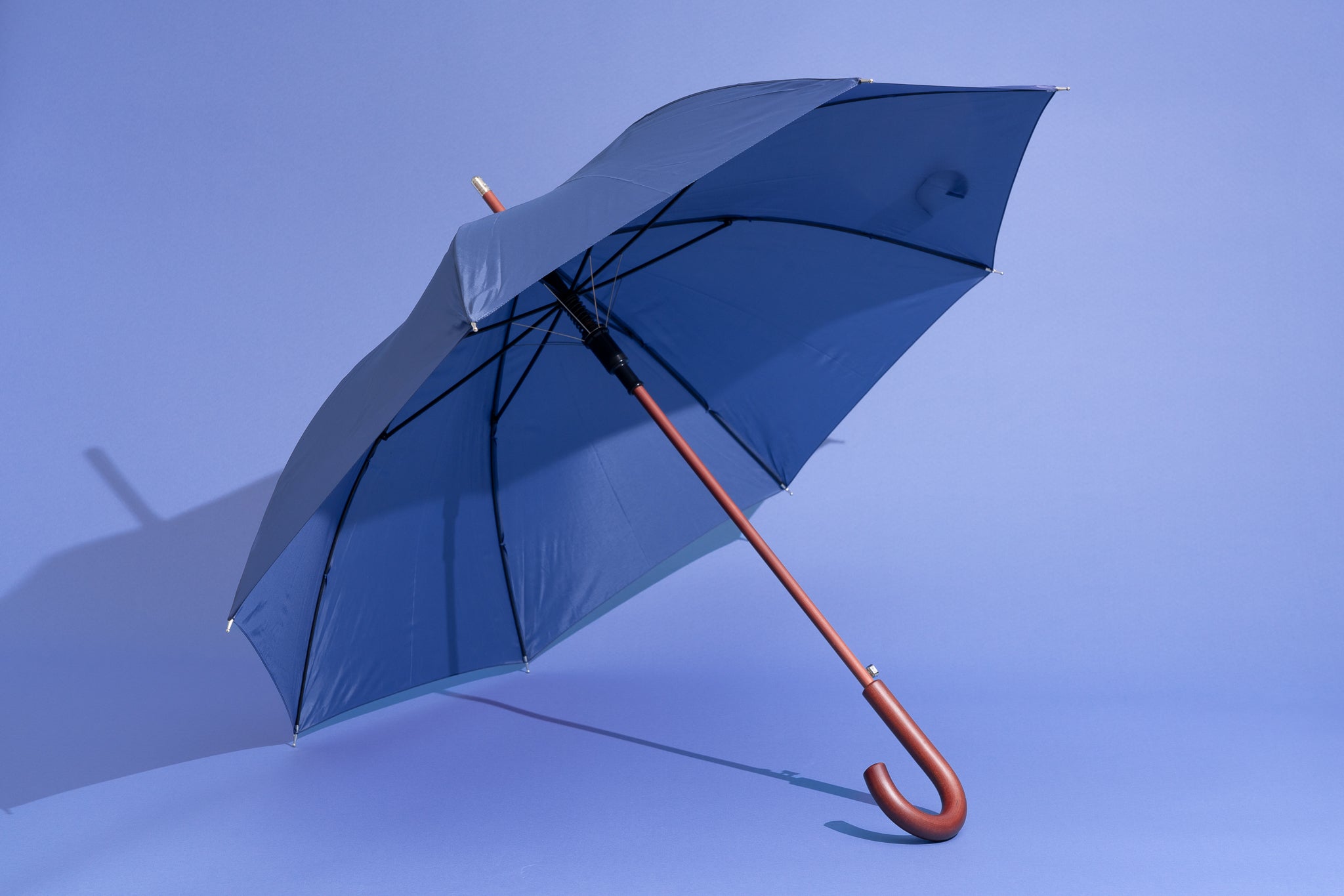 15-facts-about-umbrellas