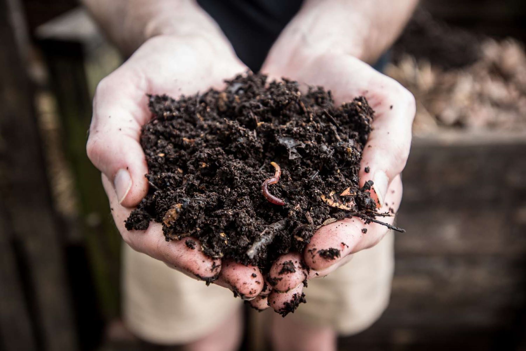 15-fun-facts-about-composting