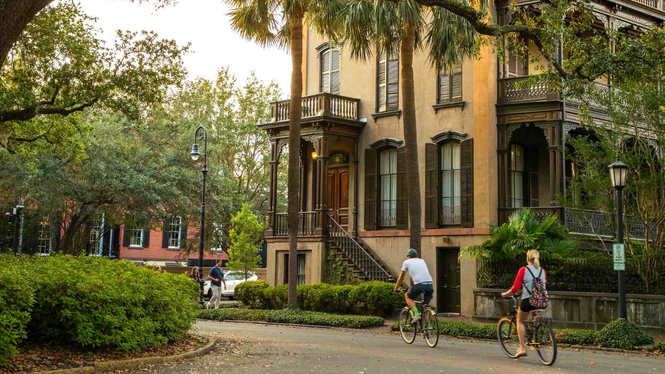15-interesting-facts-about-savannah