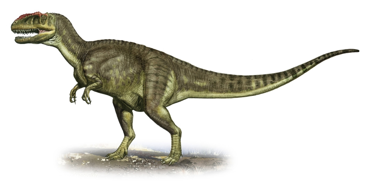 15-yangchuanosaurus-facts
