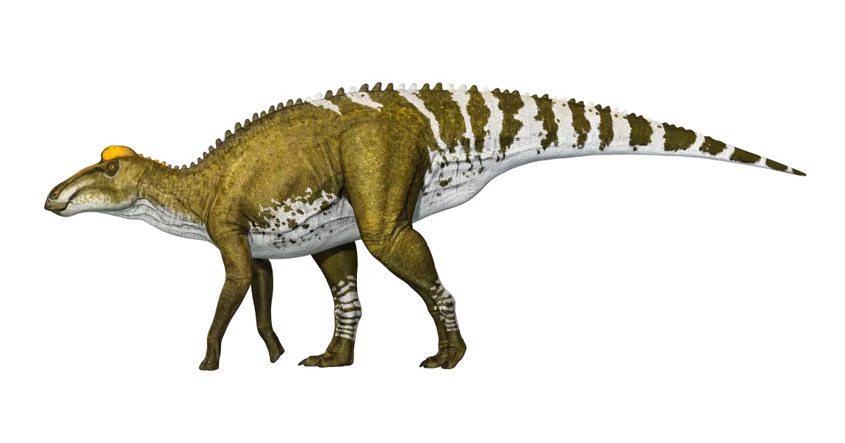18-edmontosaurus-facts