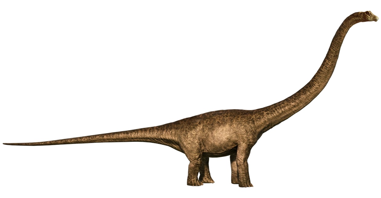 18-mamenchisaurus-facts