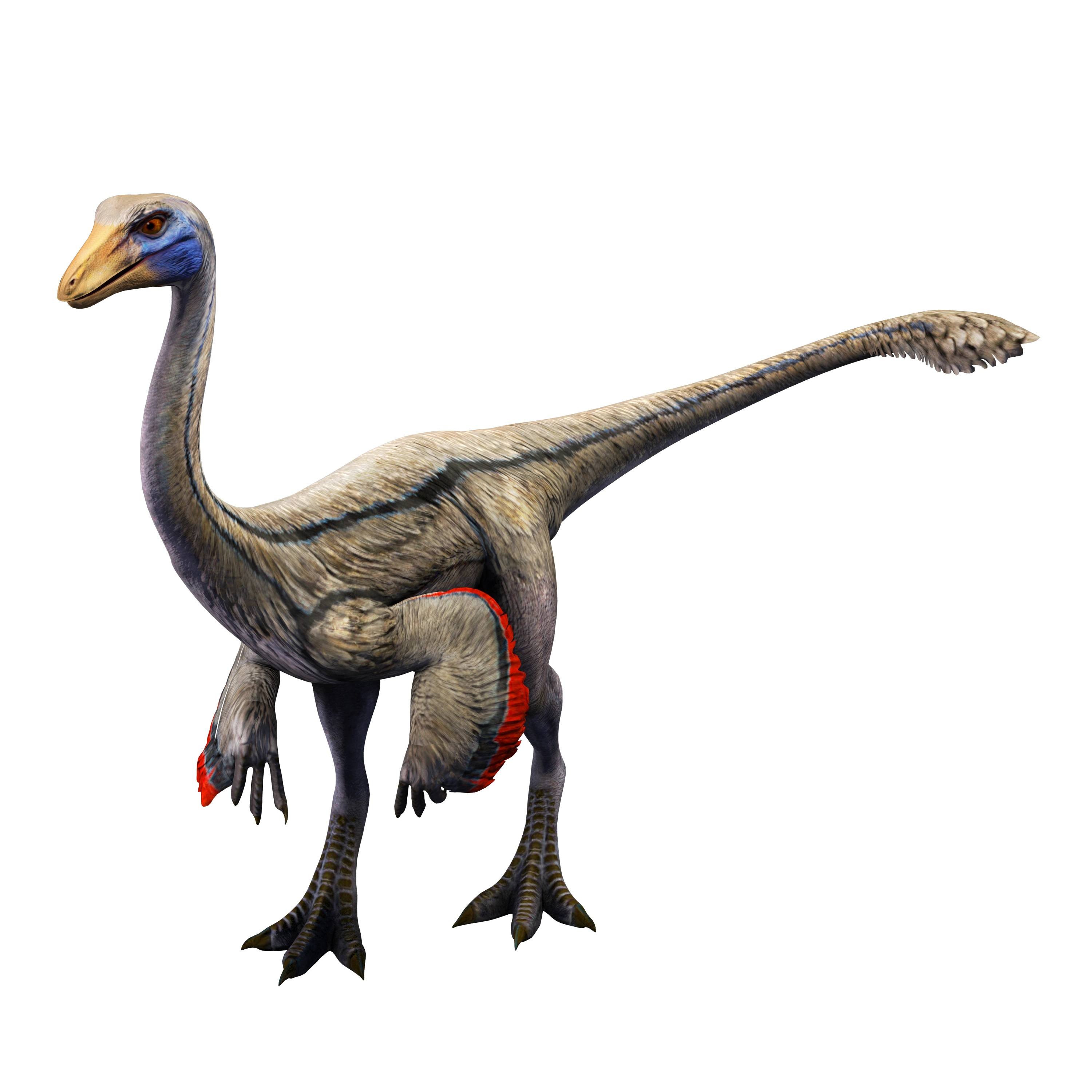 18-ornithomimus-facts