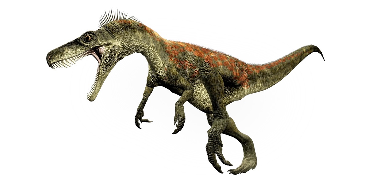 19-herrerasaurus-facts