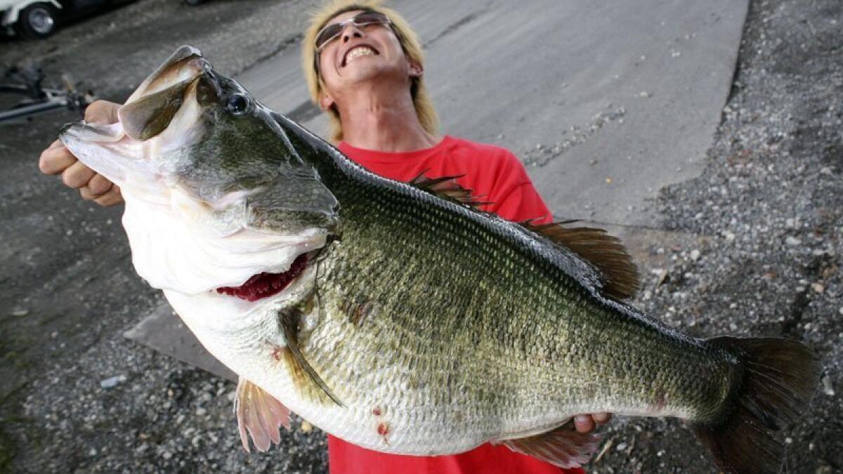 19-interesting-facts-about-largemouth-bass