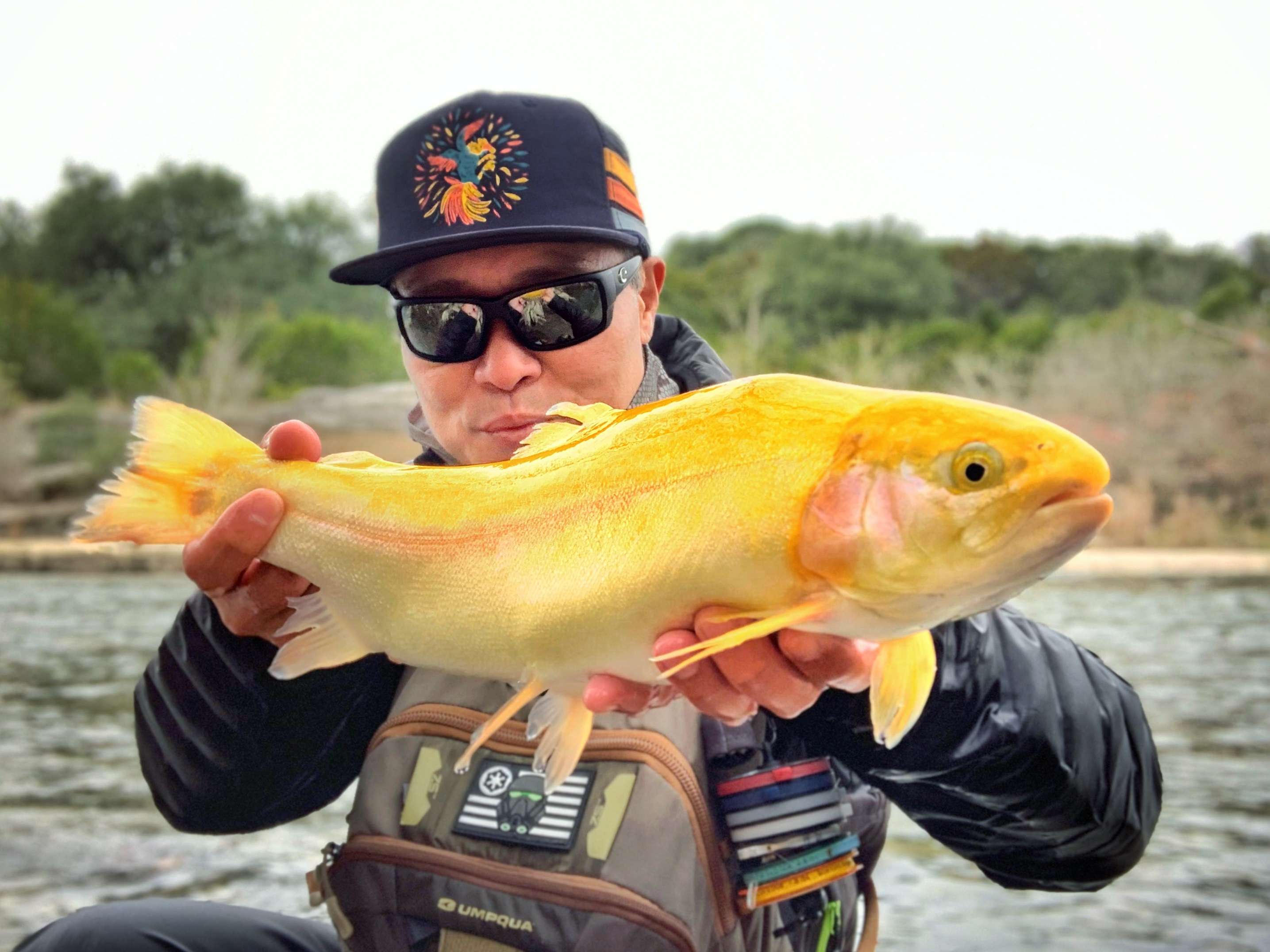 19-palomino-trout-facts