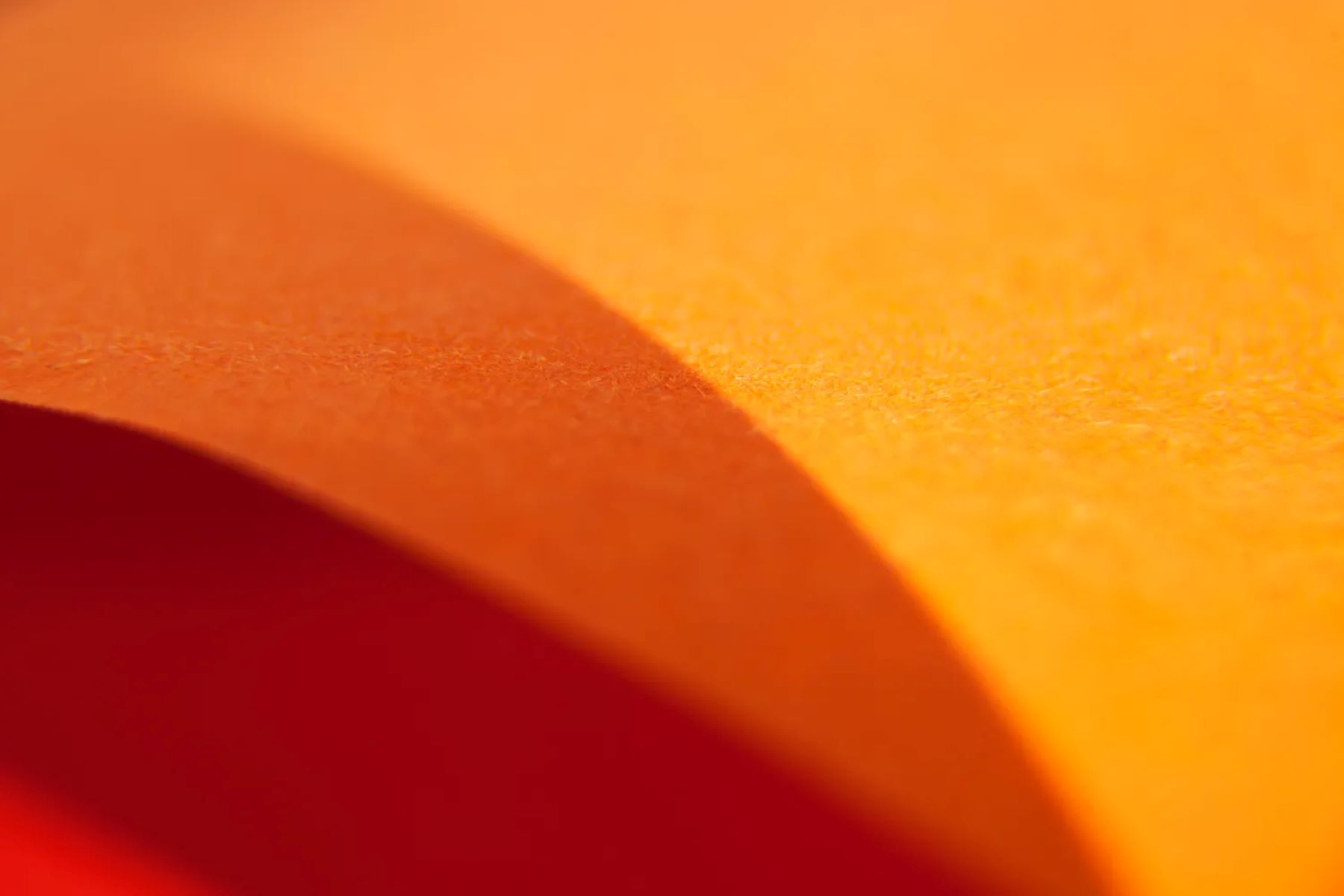 20-facts-about-the-color-orange