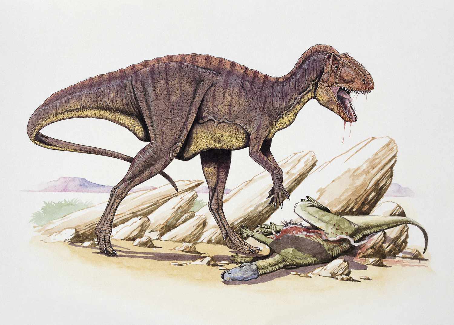 20-meat-eating-dinosaurs-facts
