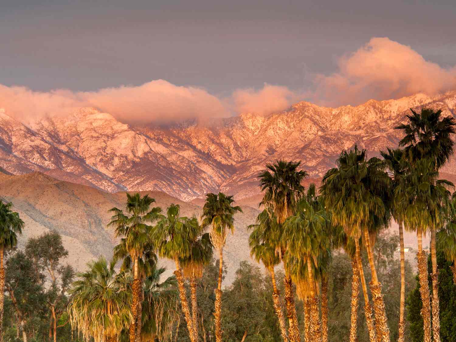 10-facts-about-environmental-initiatives-in-palm-desert-california