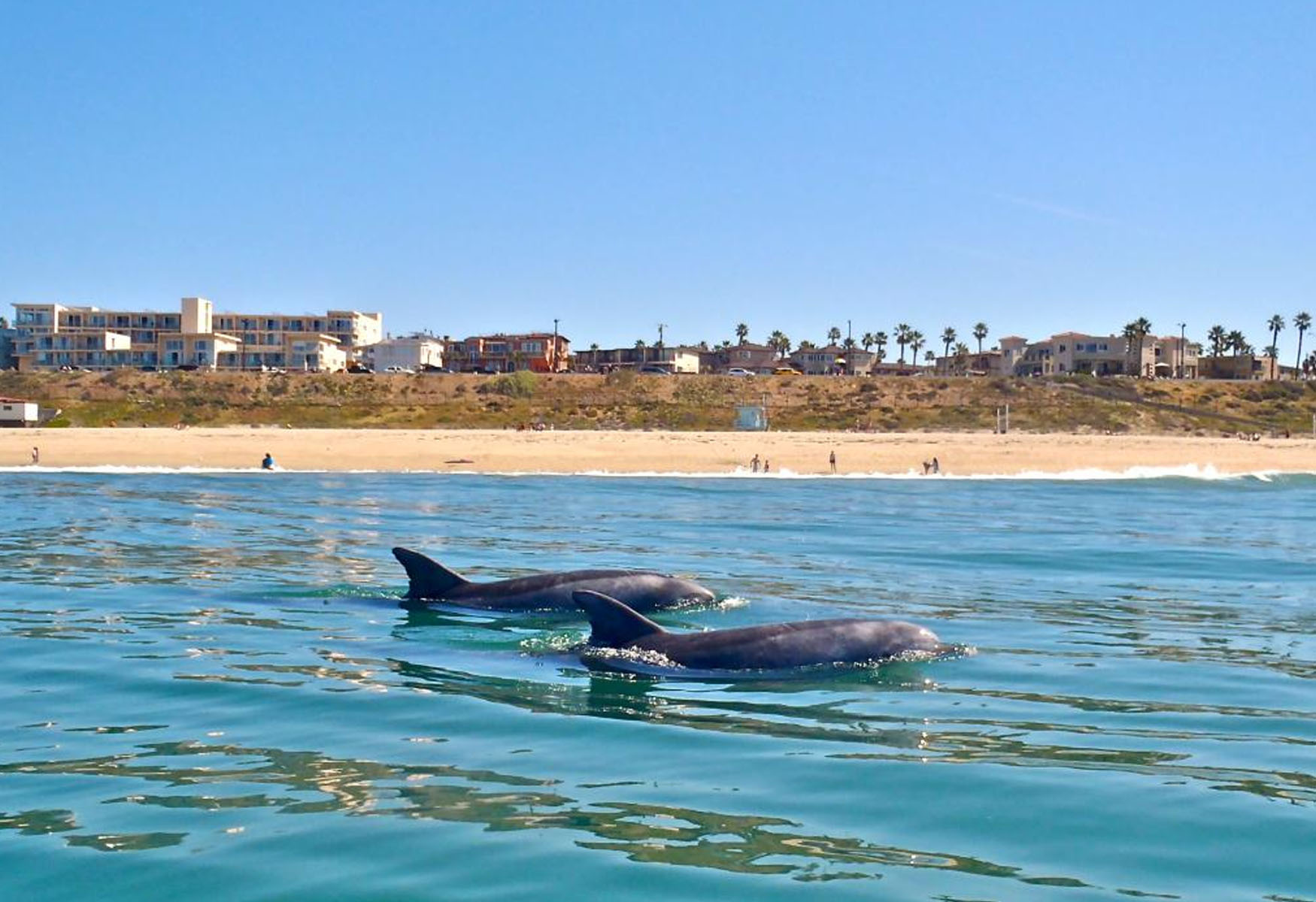 10-facts-about-natural-wonders-in-redondo-beach-california