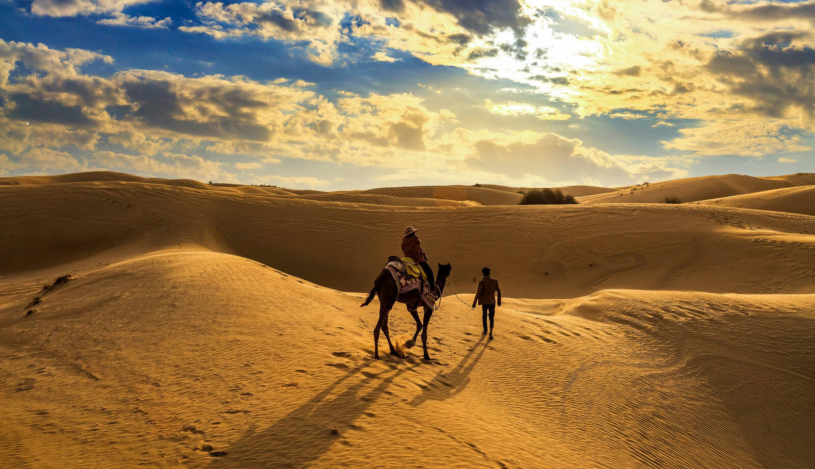 10 Facts About The Thar Desert - Facts.net