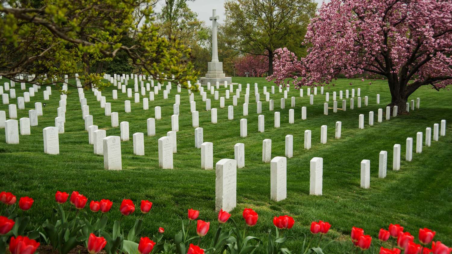 10-interesting-facts-about-arlington-cemetery
