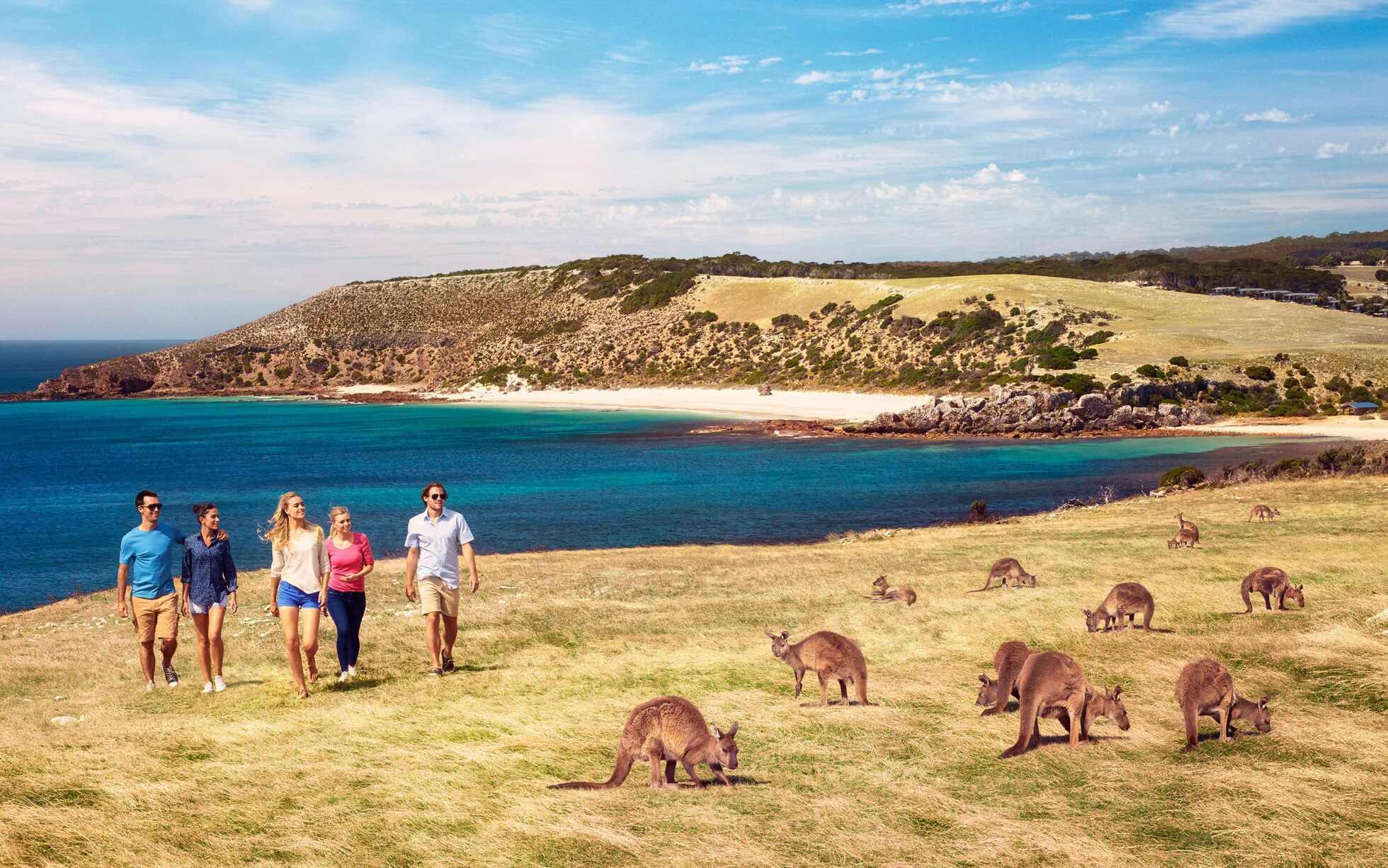 10-kangaroo-island-facts