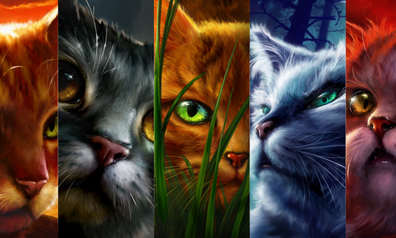 10-warrior-cats-interesting-facts