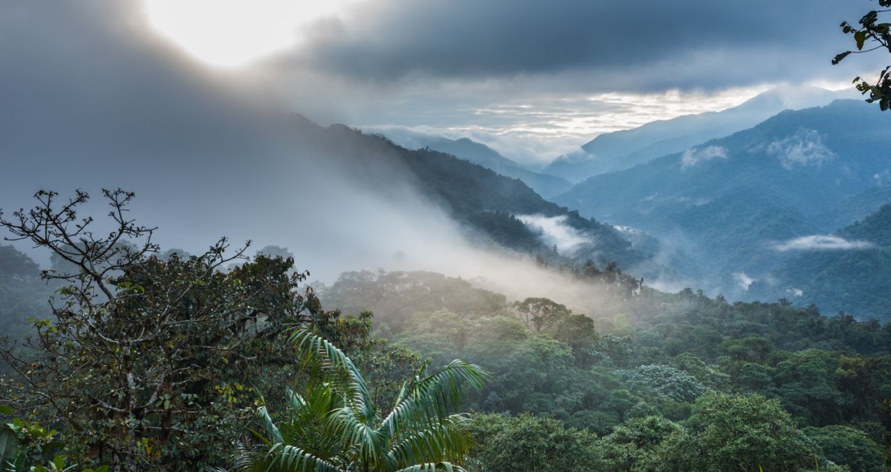 11-ecuador-cloud-forest-facts