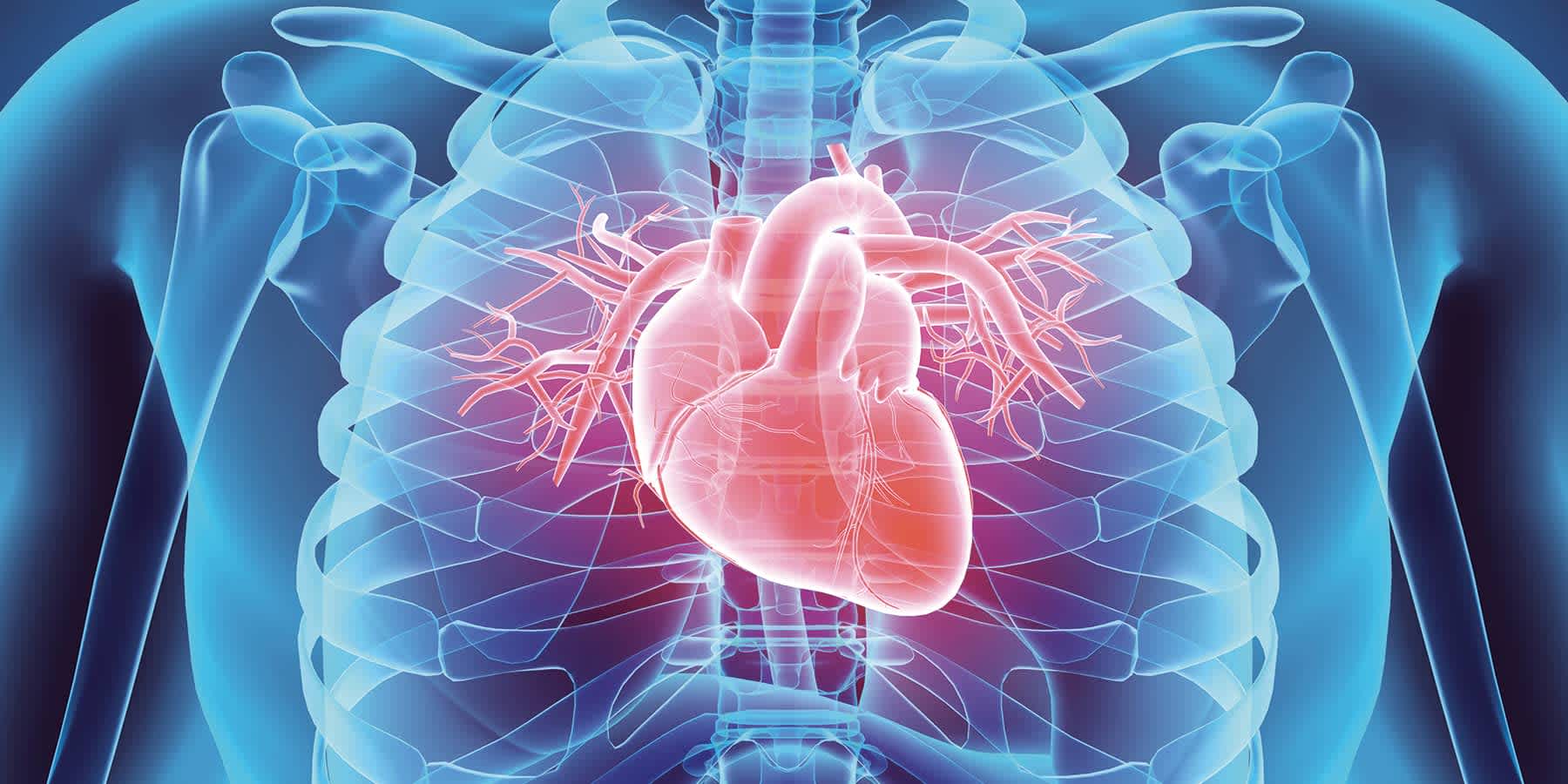11-facts-about-heart-disease