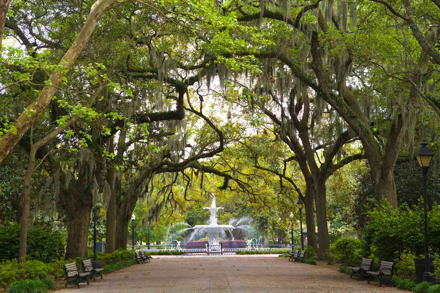 11-facts-about-music-history-in-savannah-georgia