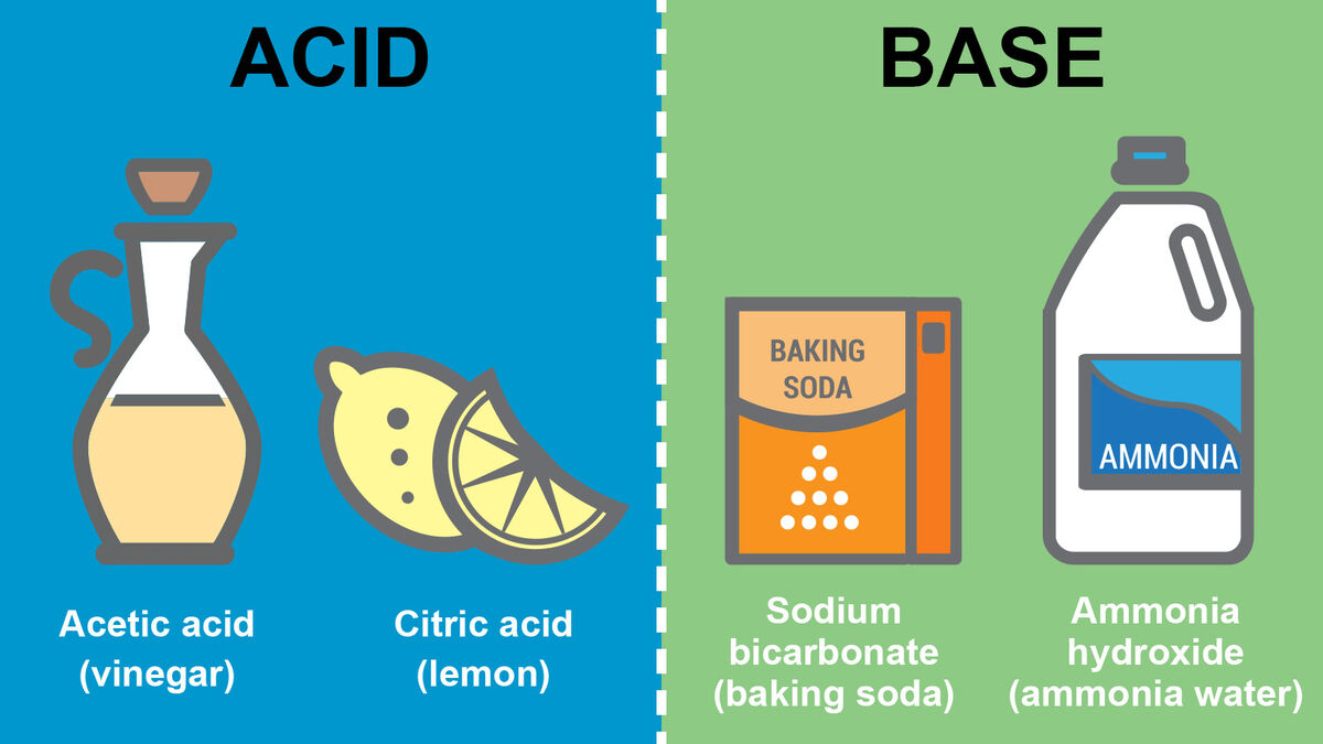 11-fun-facts-about-acids-and-bases
