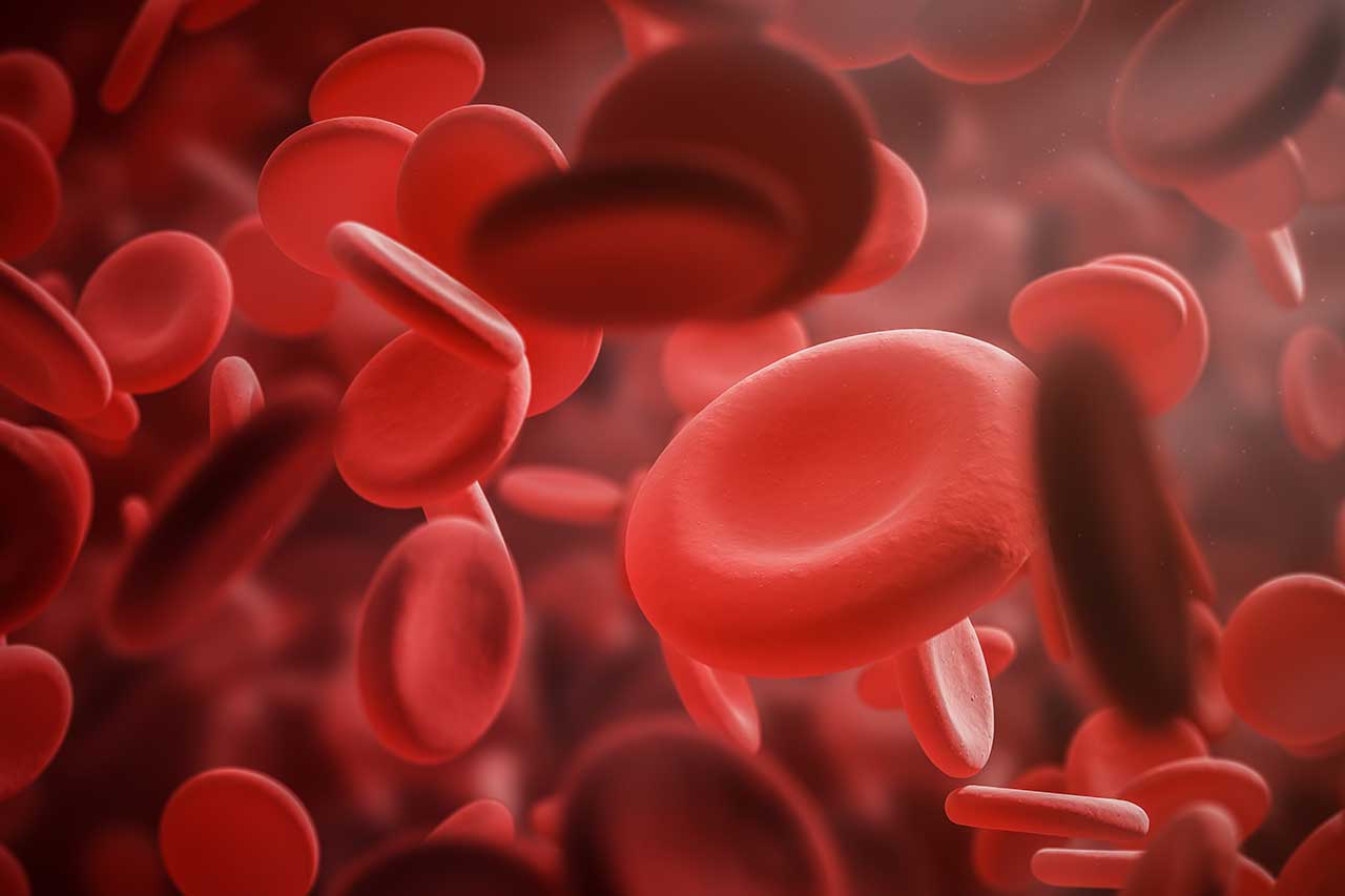 11-interesting-facts-about-hemophilia