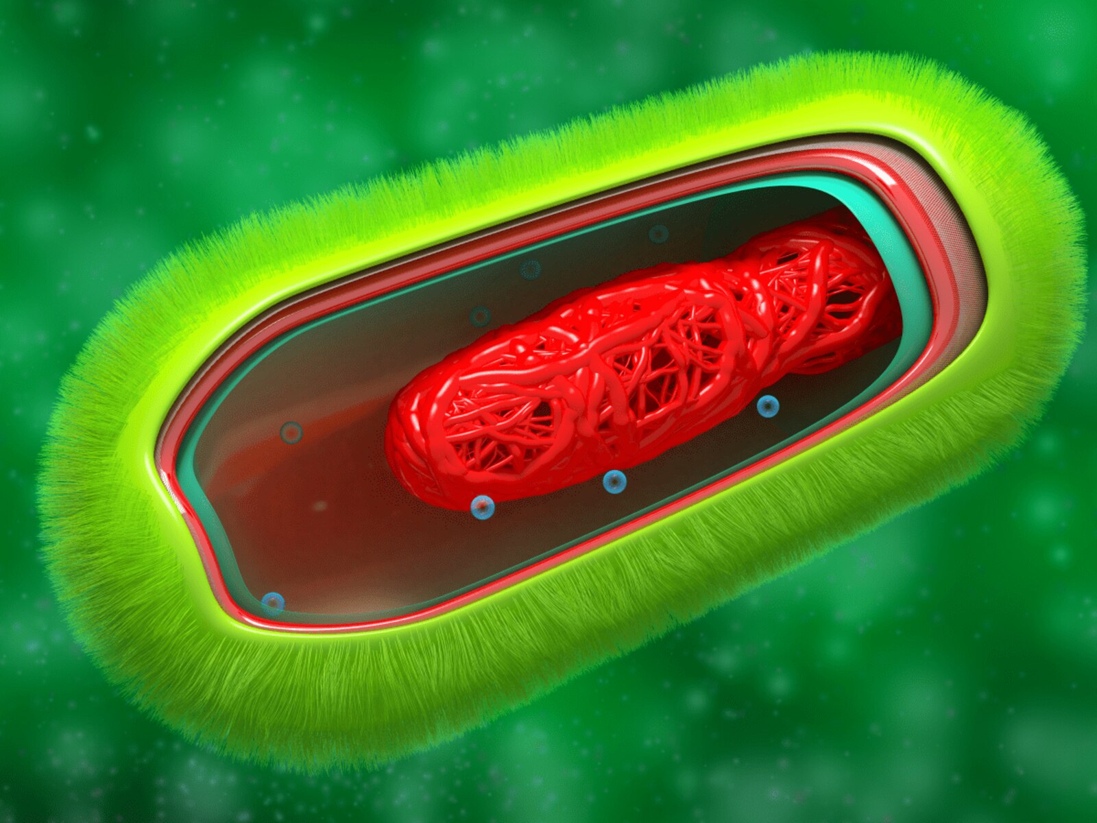 11-interesting-facts-about-organelles
