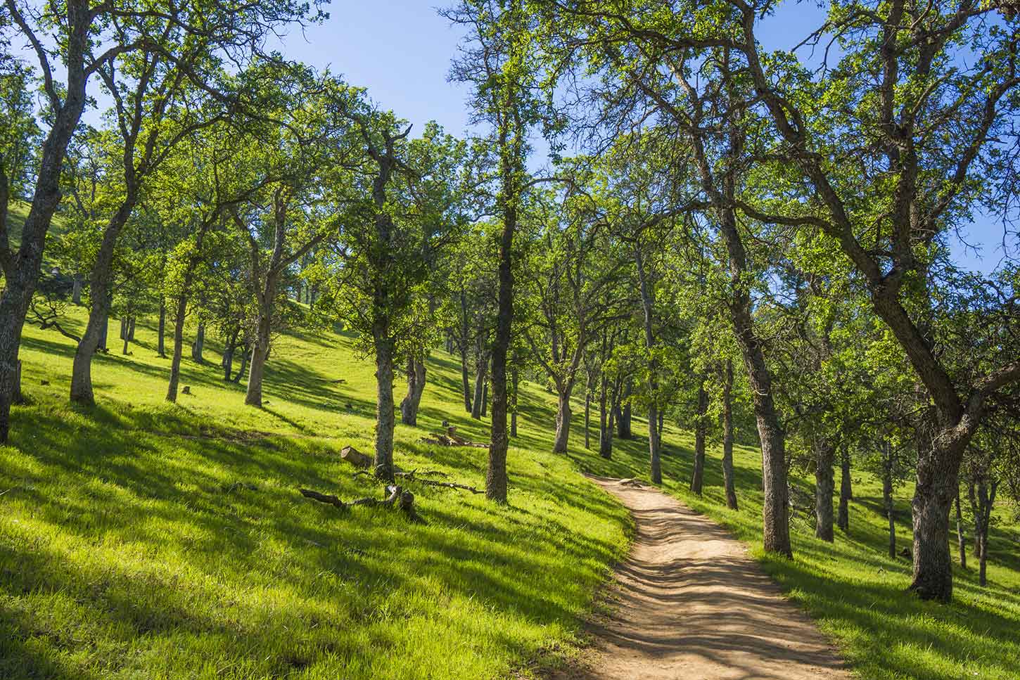 12-facts-about-local-wildlife-and-natural-reserves-in-brentwood-california