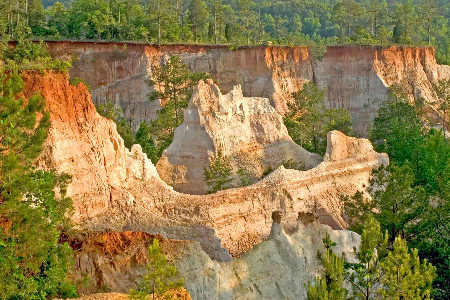 12-facts-about-natural-wonders-in-brookhaven-georgia