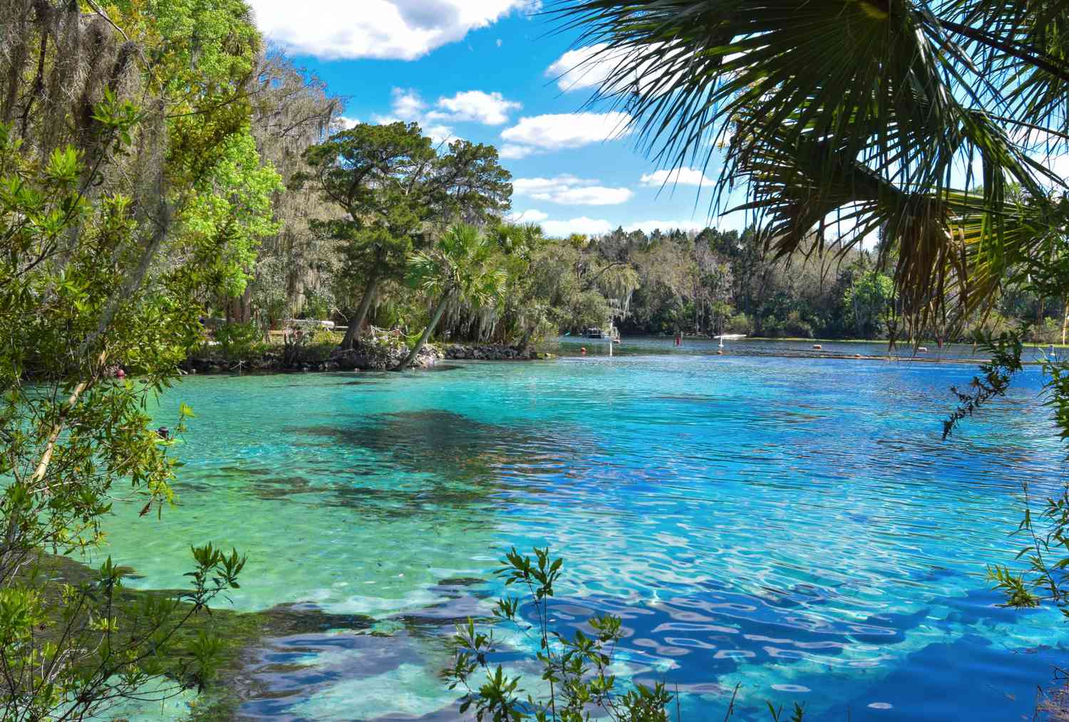 12-facts-about-natural-wonders-in-ocala-florida