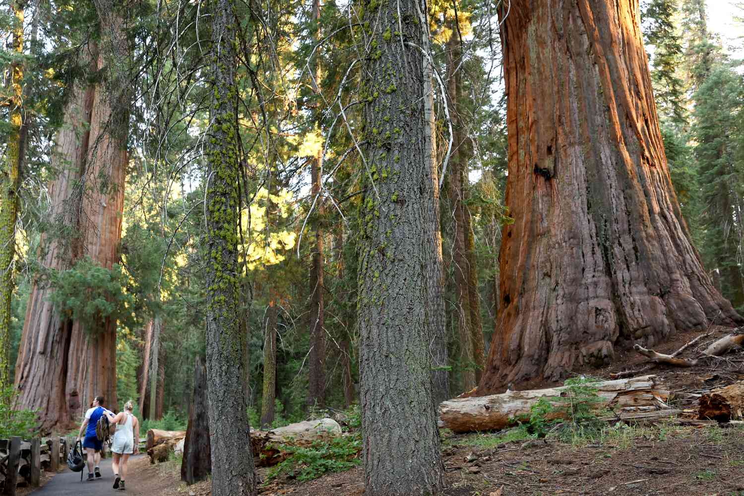 12-facts-about-natural-wonders-in-visalia-california