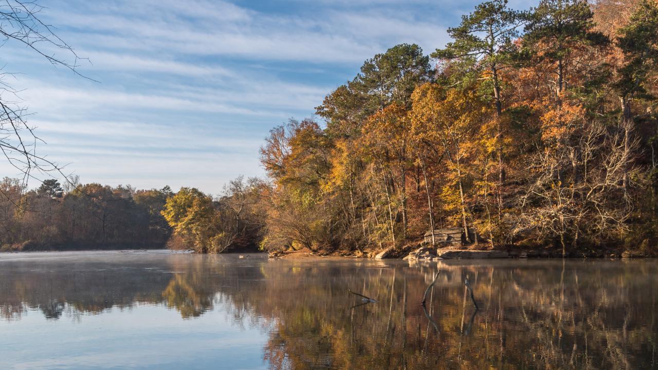 13-facts-about-environmental-initiatives-and-sustainability-in-sandy-springs-georgia