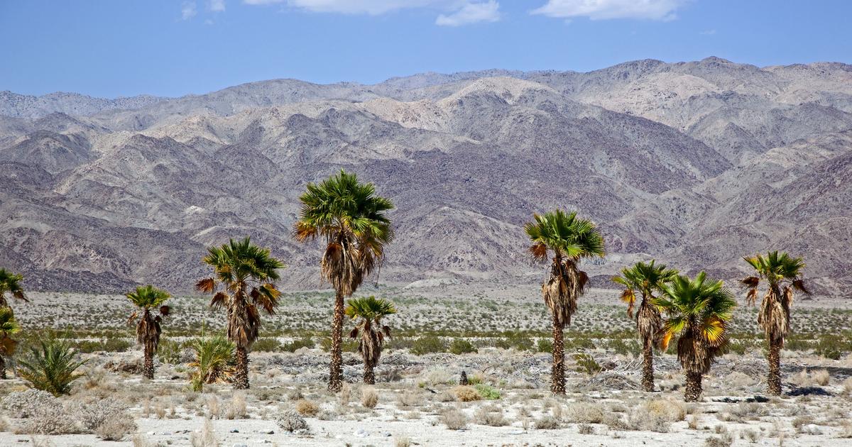 13-facts-about-environmental-initiatives-in-indio-california