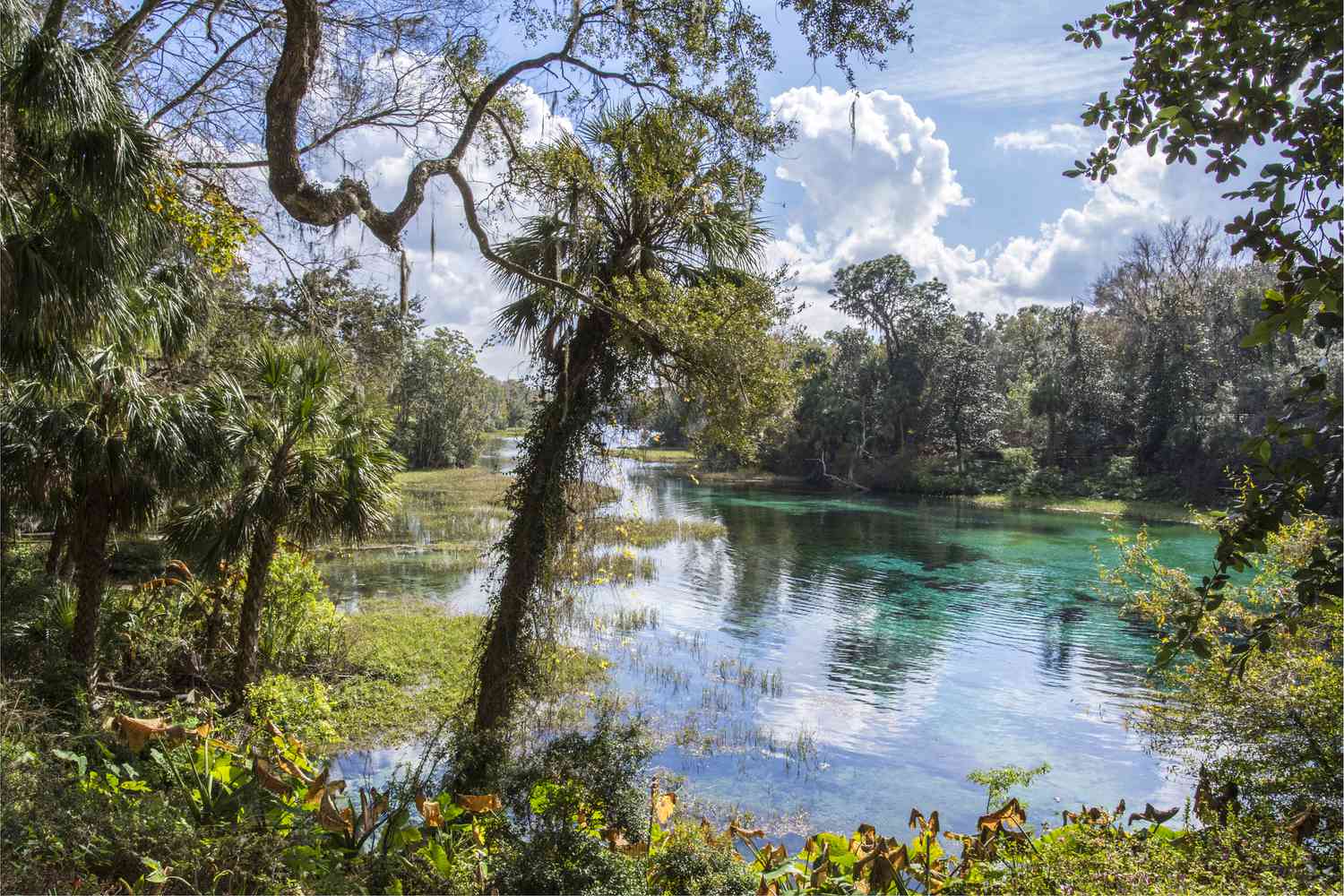 13 Facts About Local Wildlife And Natural Reserves In Apopka, Florida 