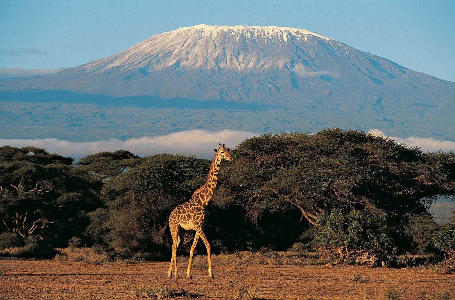 14-best-facts-about-kilimanjaro-mountain