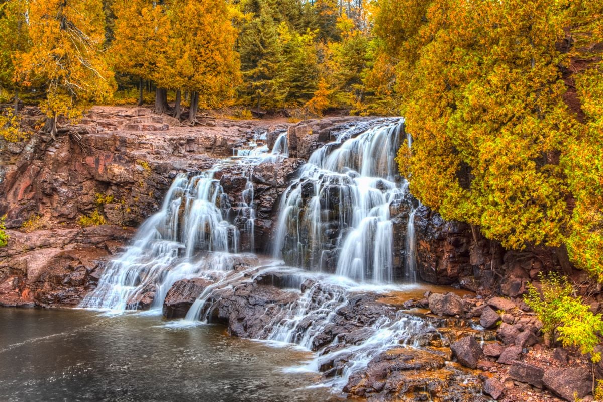 14-facts-about-local-wildlife-and-natural-reserves-in-duluth-minnesota