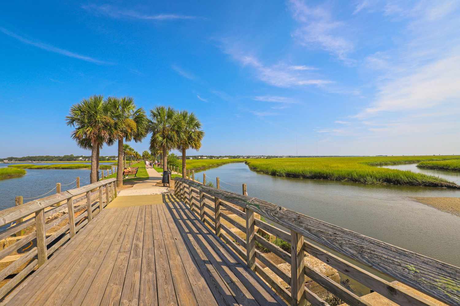 15-facts-about-environmental-initiatives-and-sustainability-in-mount-pleasant-south-carolina