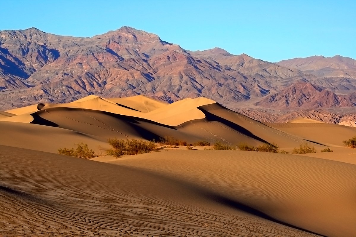 15-interesting-facts-about-mojave-desert