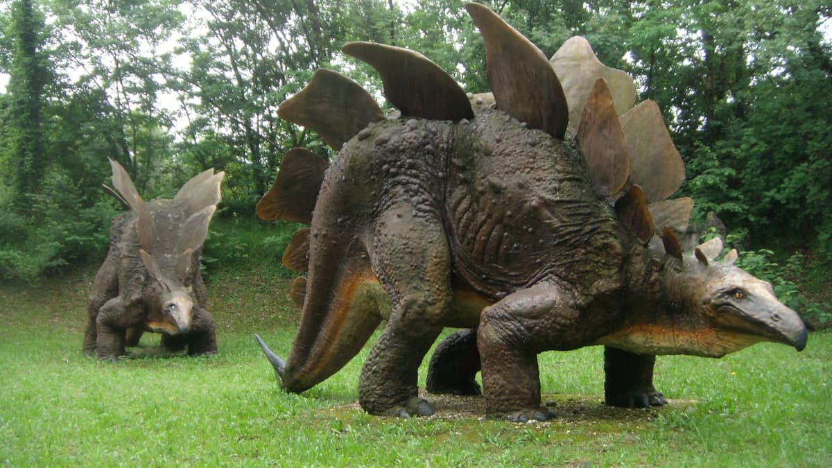18-best-stegosaurus-facts