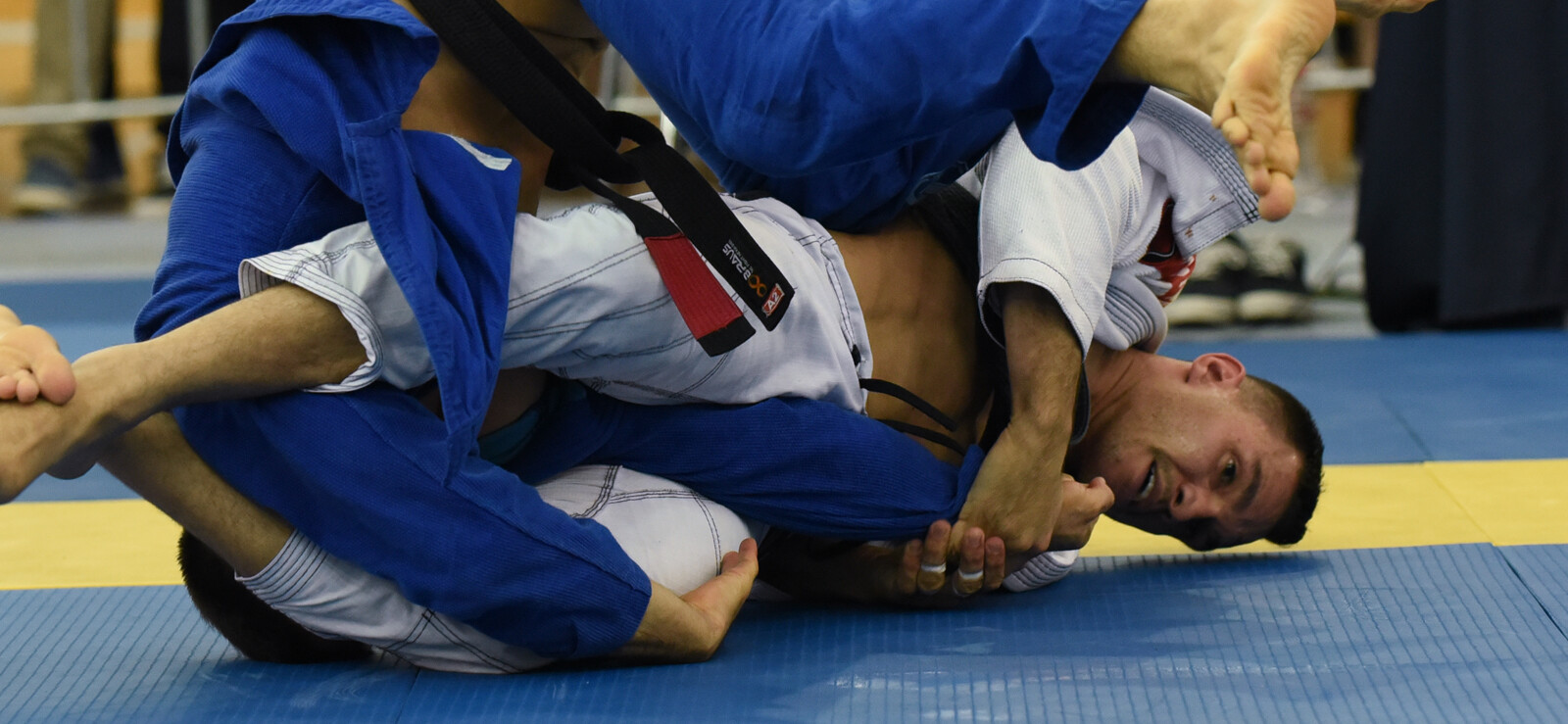 18-brazilian-jiu-jitsu-facts