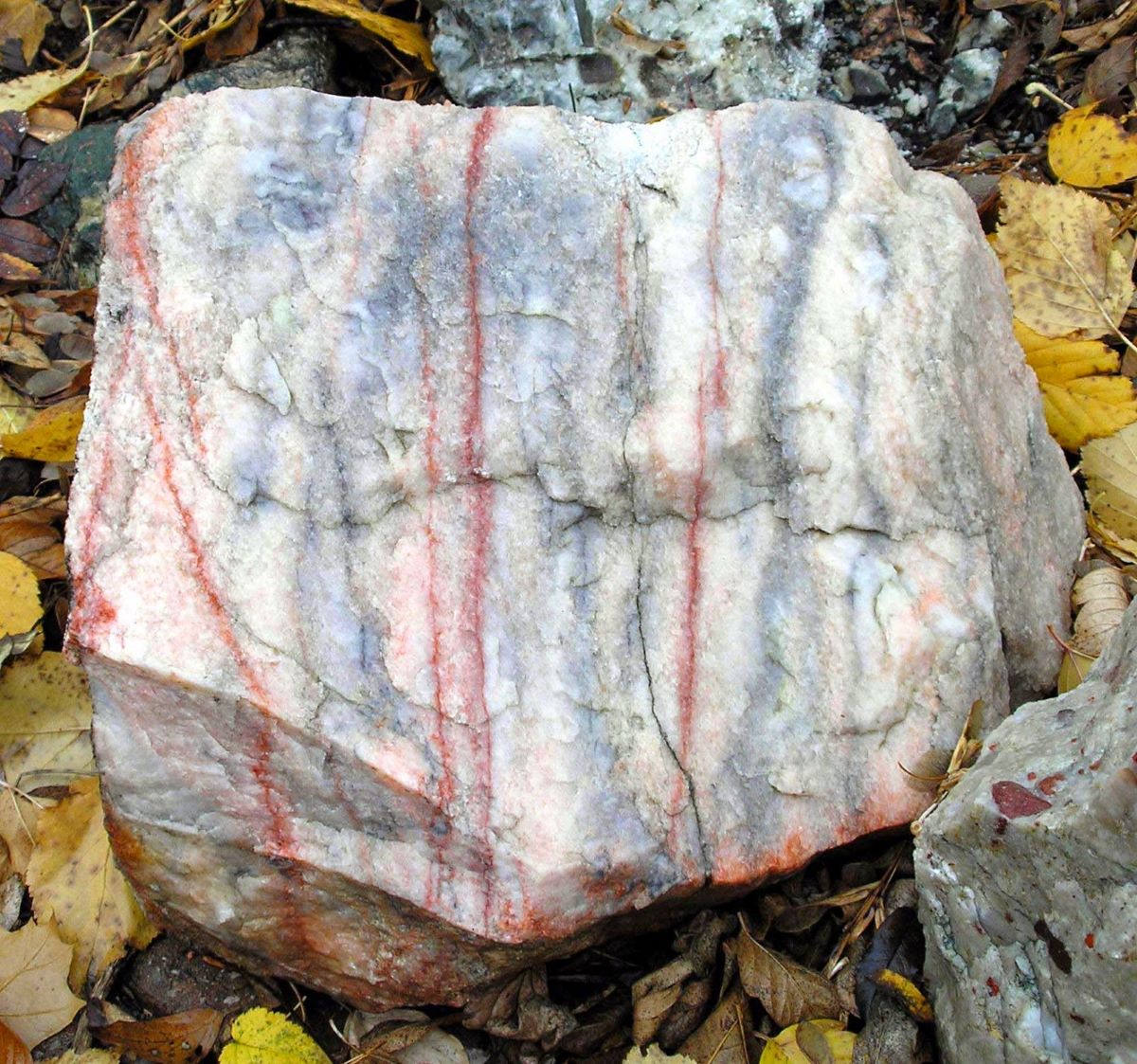 18 Marble Rock Facts - Facts.net