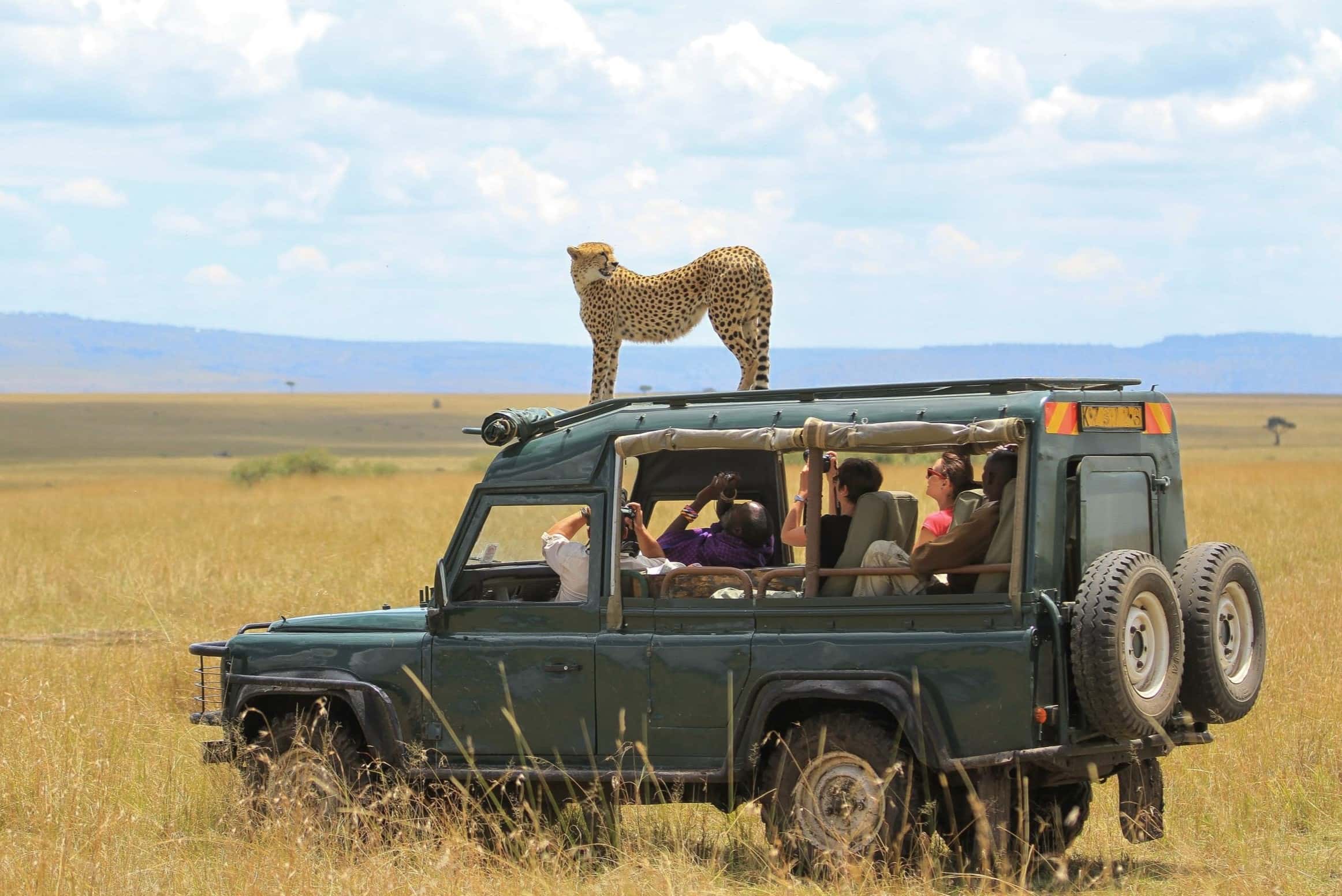 19-african-safari-facts