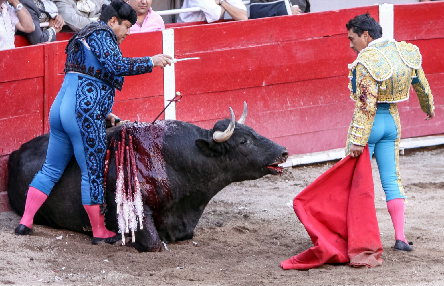 19-facts-about-bullfighting