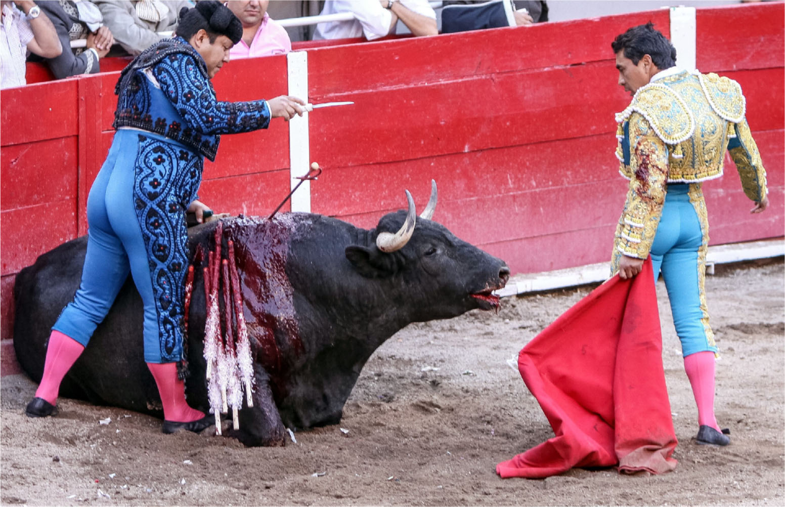 19 Facts About Bullfighting Facts