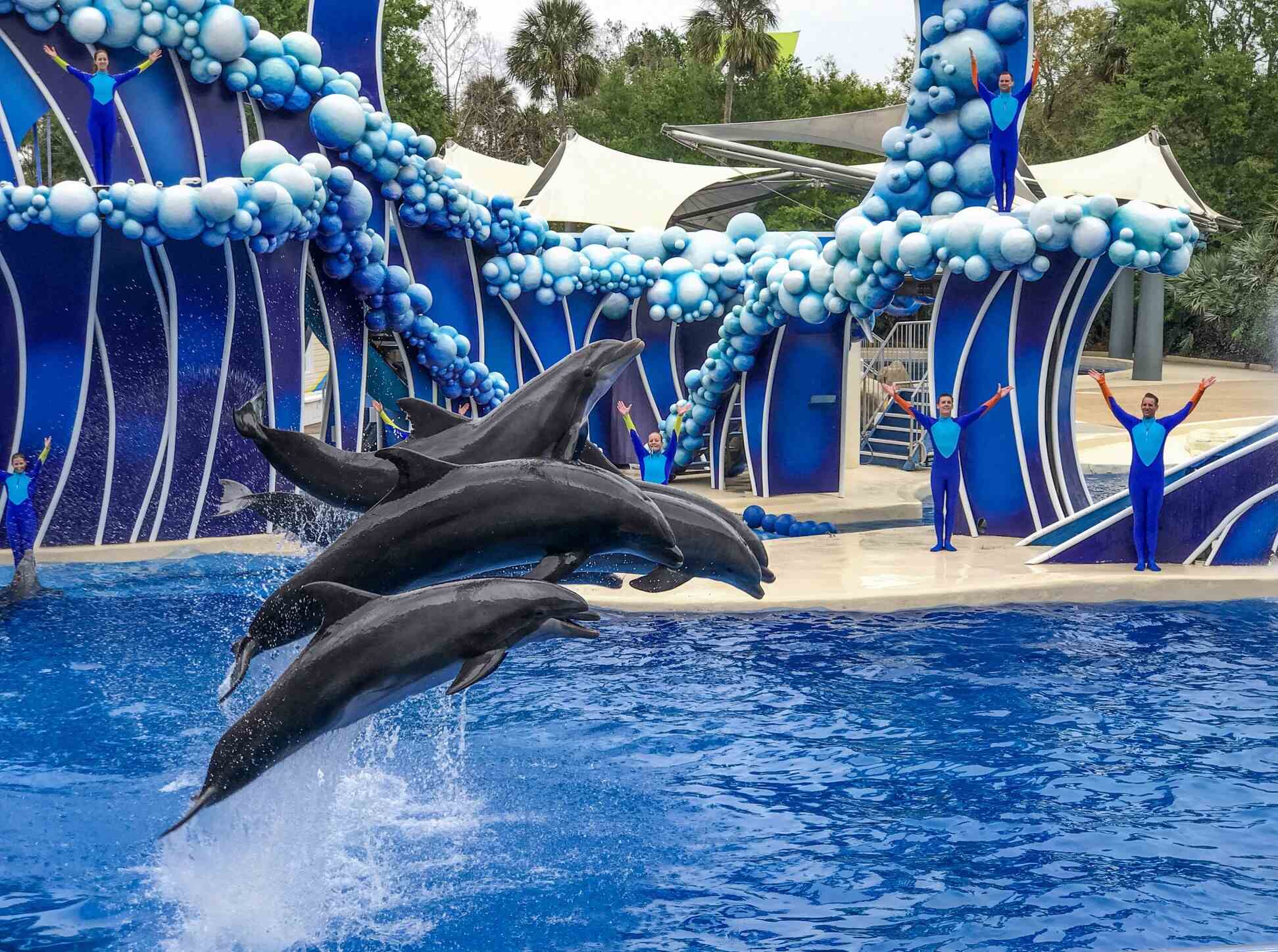 19-facts-about-seaworld-orlando