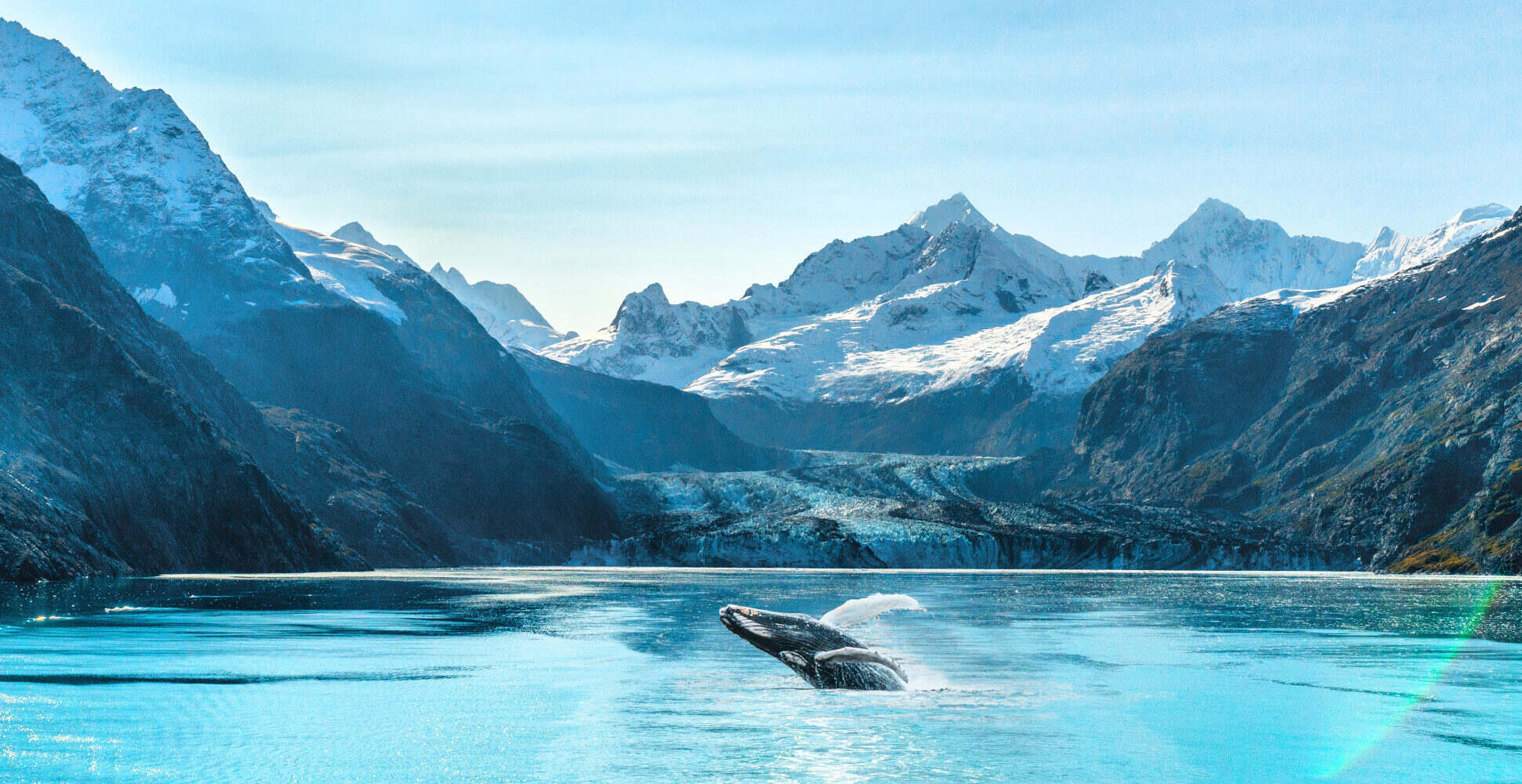 19-glacier-bay-national-park-facts