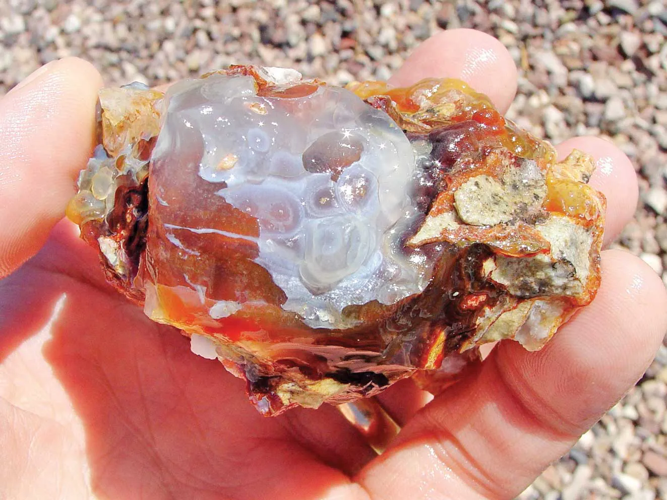 20-agate-facts