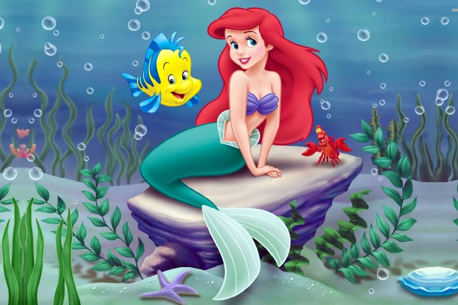 20-facts-about-ariel