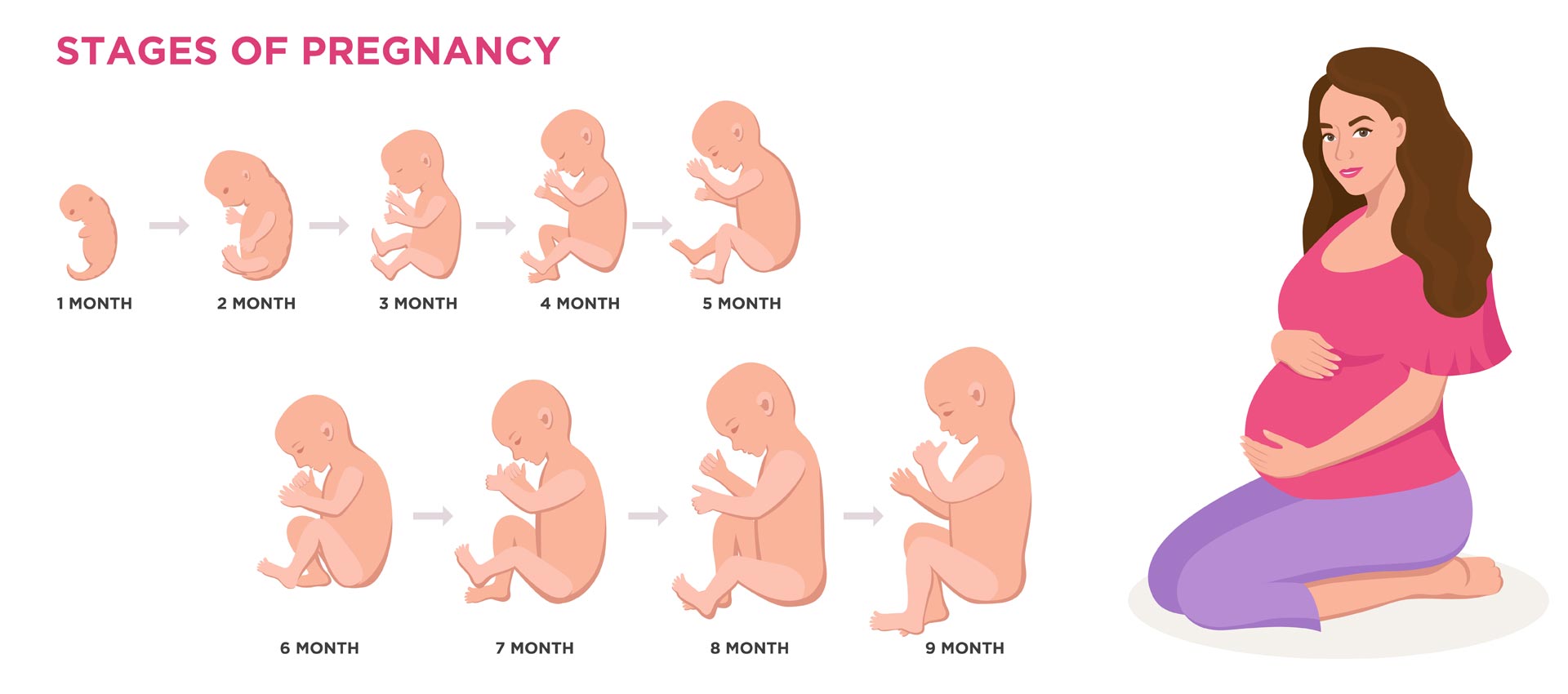 20-facts-about-fetal-development