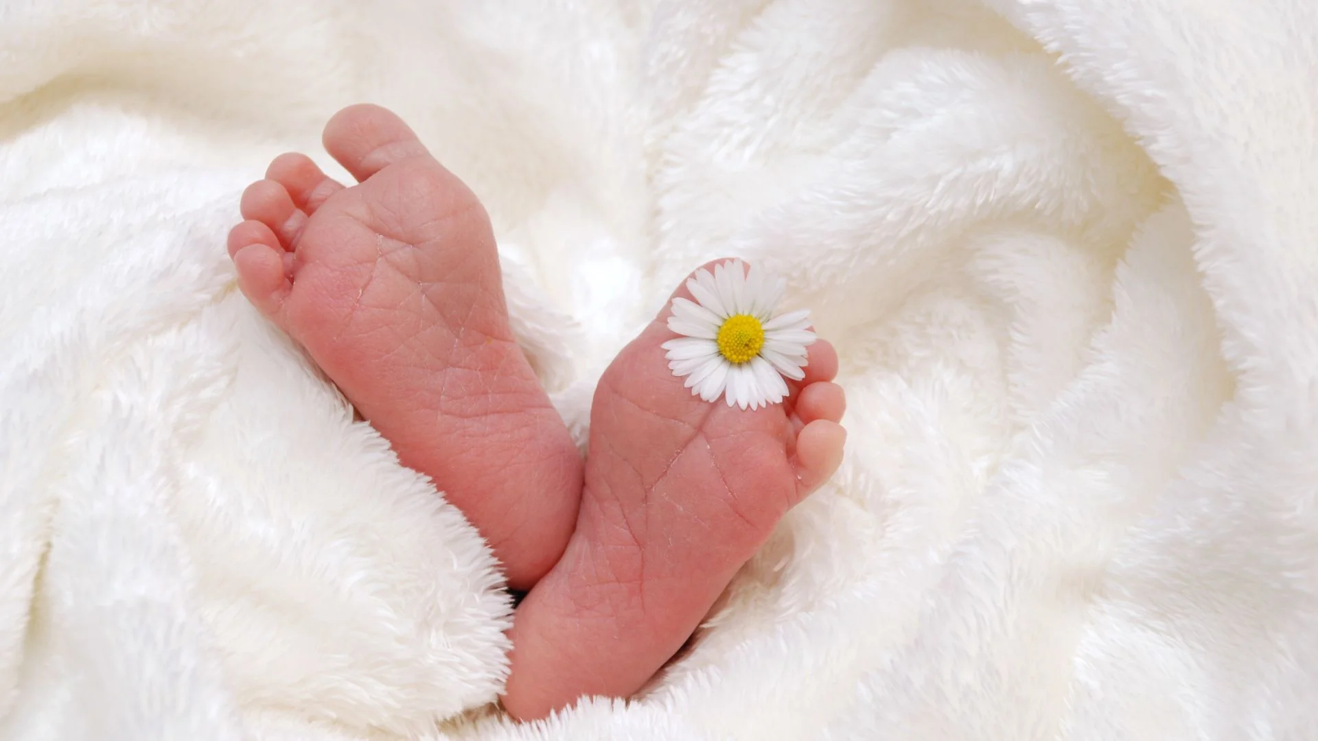 20-facts-about-may-babies