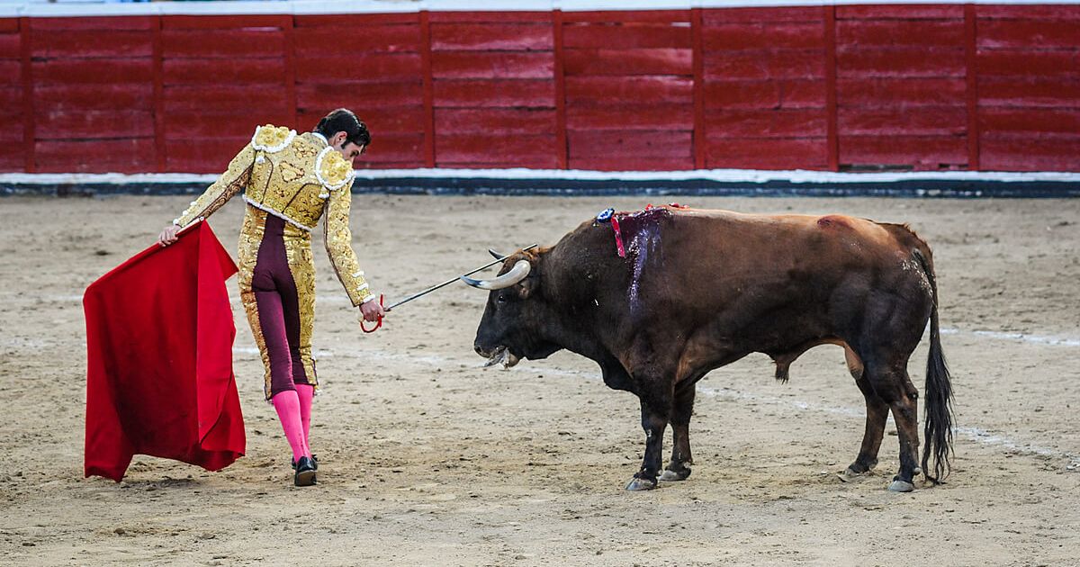 20-mexico-bullfighting-facts
